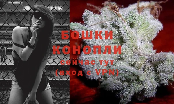 марихуана Каменногорск